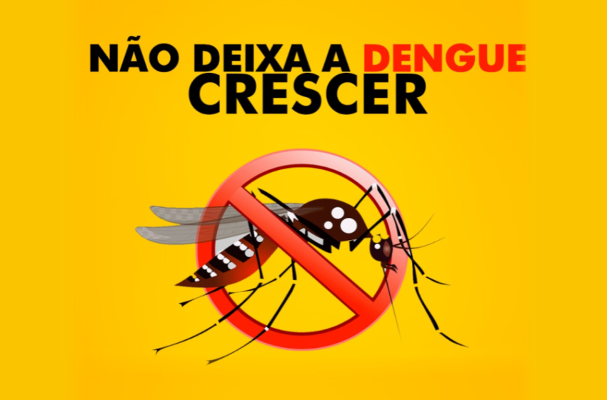  Dengue: confira 5 dicas para prevenir a doença